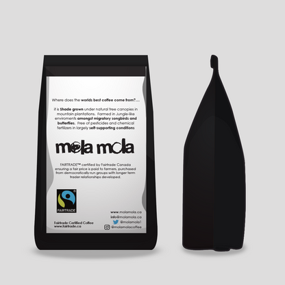 Kostoula Koffee